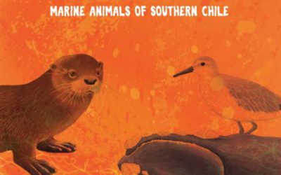 101 Animales marinos amenazados y protegidos del sur de Chile