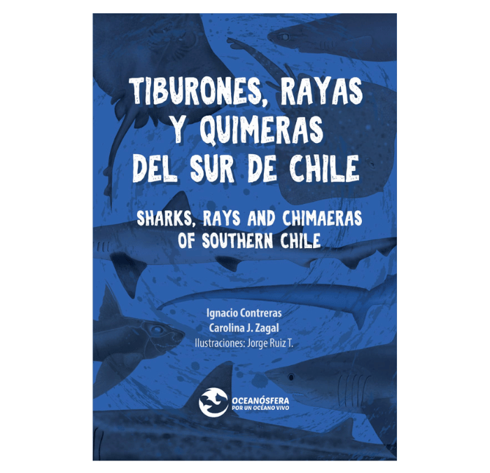 Tiburones, rayas y quimeras del sur de Chile