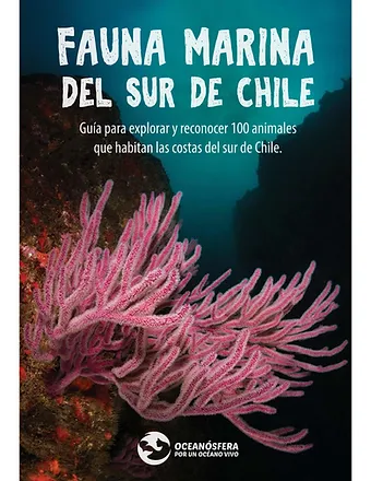 Fauna Marina del Sur de Chile
