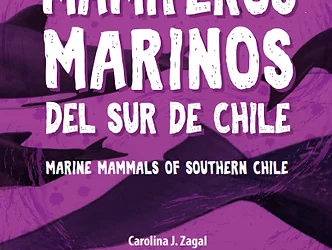 Mamíferos marinos del sur de Chile
