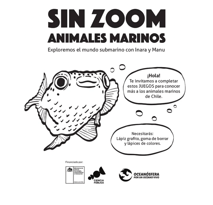 Sin ZOOM Animales Marinos